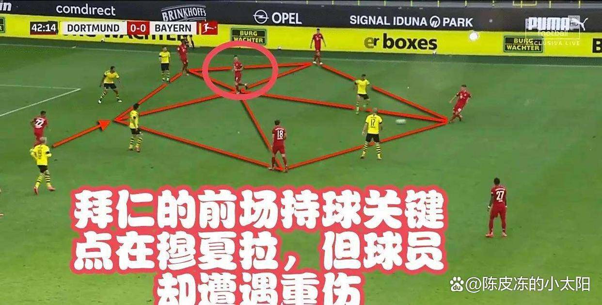 拜仁这是玩真的？不争德甲冠军的南大王，球迷还怎么磕下去！